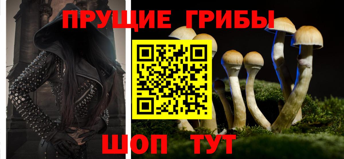Среднеуральск  Псилоцибиновые грибы GOLDEN TEACHER  Вход с VPN 
